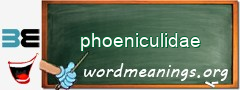 WordMeaning blackboard for phoeniculidae